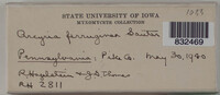 Image Associated With the Occurence